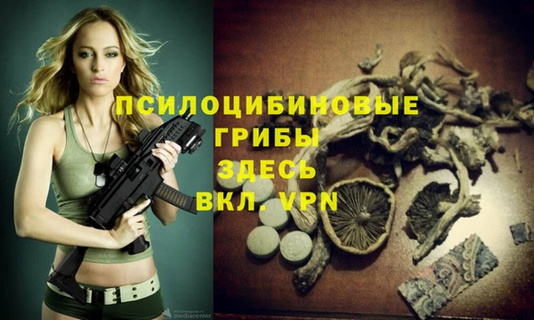 гашишное масло Богородск