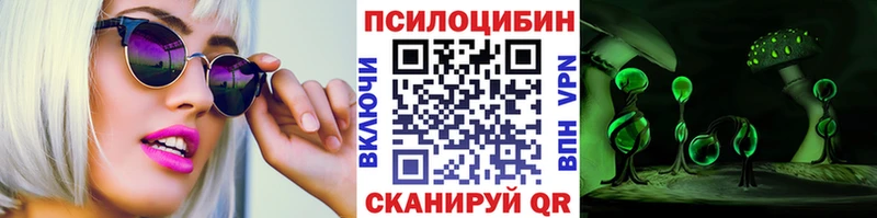 дарнет шоп  Костерёво  Псилоцибиновые грибы прущие грибы 