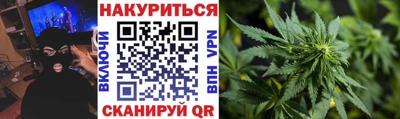 Шишки марихуана MAZAR  omg как войти  Костерёво  где найти наркотики 
